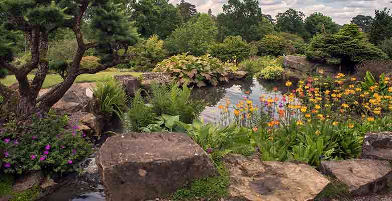 Jardin de rocaille