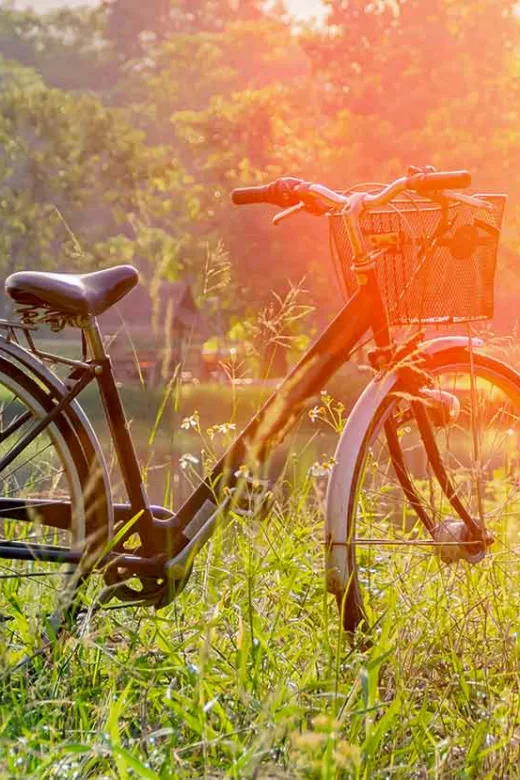 Vélo